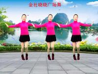 广场舞《流泪的情人》简单32步附分解