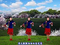 广场舞《杏花落》柔美抒情优美好看