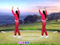 DJ广场舞《人活一世什么最重要》32步演示分