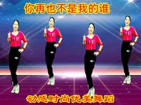 广场舞《你再也不是我的谁》伤感情歌触动心