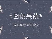 囧傻呆萌