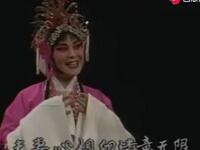 豫剧《疯哑怨》