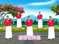 新歌DJ版广场舞《感情在降温》正反面演示