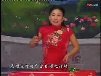 河南坠子《刘天顺保定遇难》下集