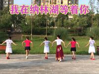 重庆红蜻蜓广场舞《我在纳林湖等着你》