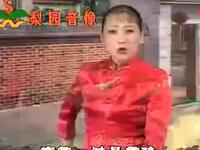 河南坠子《后妈无情妹有情》全集