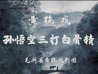黄梅戏《孙悟空三打白骨精》芜湖县黄梅戏剧团下载
