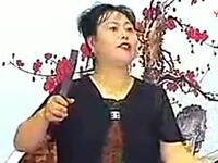 长篇河南坠子《一百零八侠》听了还想听
