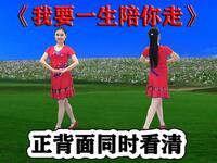 DJ暖心广场舞《我要一生陪你走》正背面跟跳