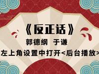 反正话