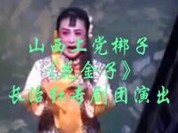 山西上党梆子《花金子》长治红专剧团演出