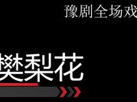 豫剧《樊梨花》全场戏