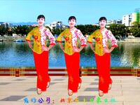 凤姐广场舞《红梅赞》经典老歌好听又好看