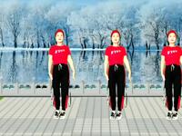 广场舞《学不会你的无情》音乐好听舞蹈好看