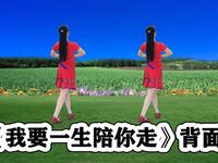 DJ新版流行广场舞《我要一生陪你走》