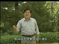 河南坠子《小八义》贾氏女梳头下载