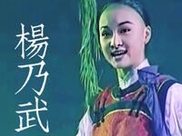 越剧《杨乃武》