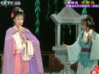 黄梅戏《女驸马》下载