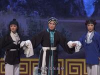评剧《同根异果》天津评剧院三团