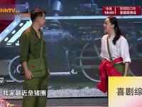 年代爱情下载