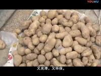 莲花落《新花子要饭》