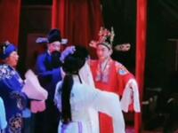 庐剧《珍珠塔》下载