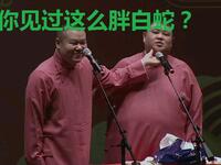 白长虫传奇孙越越