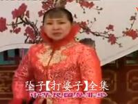 河南坠子《打婆子》全集