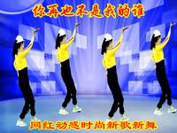广场舞DJ《你再也不是我的谁》伤感情歌