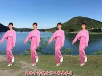 伤感情歌广场舞《包容》附教学