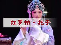 黄梅戏《红罗帕》下载