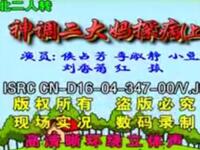 二人转《神调二大妈探病》下载