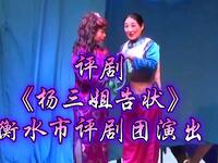 评剧《杨三姐告状》衡水市评剧团演出
