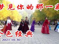 玲珑广场舞《梦见你的那一夜》