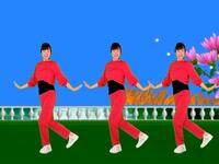 广场舞《苦乐人生》