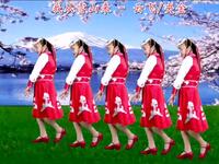 广场舞《我从雪山来》简单易学美极了