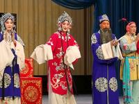 京剧《锁麟囊》郑雪莲饰薛湘灵 湖北省京剧