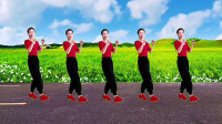 广场舞《兄弟跟我走》简单好学适合大众