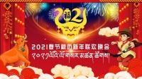 《春节藏历新年联欢晚会 2021》 第20210210期 欢声笑语共庆新年下载