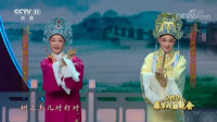 黄梅戏《梁山伯与祝英台》选段  名家演唱 
