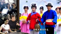 安徽庐剧 《正月门歌闹花灯》