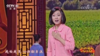 黄梅戏《鸭儿嫂》余淑华表演