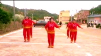 广场舞《忘川的河》舞步简单好看好学
