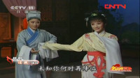 越剧《追鱼》选段 月下初会 名家王志萍 郑国凤演唱下载