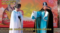 豫剧《泪洒相思地》选段 优秀演员徐书娣 申