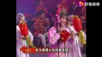梨园春《戏曲联唱》主演 方素珍 刘青 刘艳丽 徐爱峰 马艳青 金丽丽下载