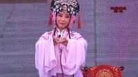 曲剧《王子龙私访》选段 思家事想终身倍加