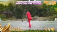 广场舞《感谢好生活》抒情风格附正背面教学