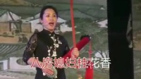 金华道情《十房媳妇》下集