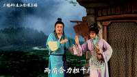 锡剧《春江月》字幕版  主演 孙薇 万建焕 赵文彬 吴佳伟 陈敏下载